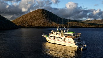 Tourists jump into shark-infested sea after boat catches fire