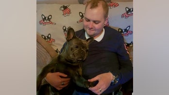 Man's beloved dog dies just 15 minutes after owner's cancer death, family says
