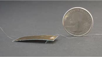 Robotic cockroach survives being stepped on