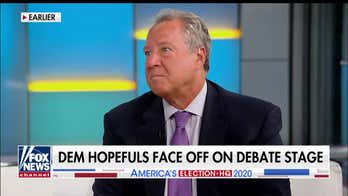 Former Obama adviser blasts 'cringeworthy' Dem debate: It was the 'circular firing squad' Obama warned about