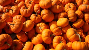 Americans willing to name child 'Pumpkin Spice' to get coffee for life, survey claims