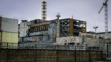 Chernobyl shocker as fungi that eats radiation found inside nuclear reactor