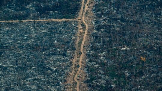 Amazon fires spur Brazil to ban most burning for 60 days