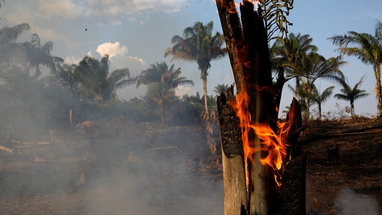 Brazilian environmental minister heckled over record Amazon fires: 'Stop Ecocide!'