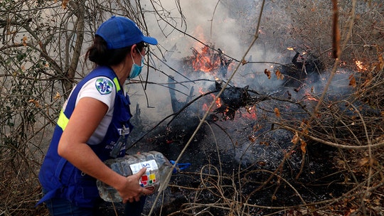 Focus on Brazil's Amazon fires, but a massive inferno rages next door in Bolivia