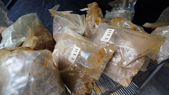 Australia, New Zealand seize enormous haul of MDMA, meth, worth $60M