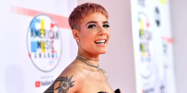 In her videos, Halsey shared that they were recently diagnosed with Sjogren's syndrome, Ehlers-Danlos syndrome, MCAS (mast cell activation syndrome), and POTS (postural orthostatic tachycardia syndrome), in addition to endometriosis, which they had previously been diagnosed with.