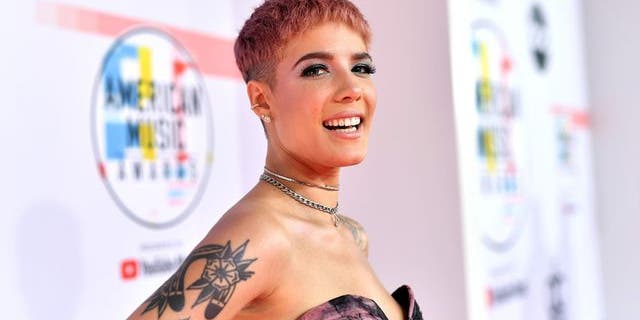 In their videos, Halsey shared that they've been recently diagnosed with Sjogren’s syndrome, Ehlers-Danlos syndrome, MCAS (Mast Cell Activation Syndrome) and POTS (postural orthostatic tachycardia syndrome), in addition to endometriosis, which they were previously diagnosed with.