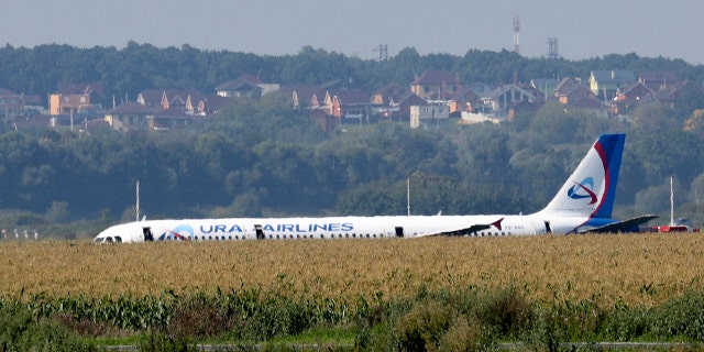 A Russian Ural Airlines' A321 plane is seen after an emergency landing in a cornfield near Ramenskoye, outside Moscow, Russia, Thursday, Aug. 15, 2019. (Associated Press)