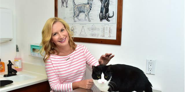 Office' actress Angela Kinsey tells why her character loved cats | Fox News