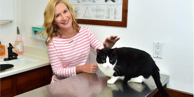 Westlake Legal Group AK-1 'Office' actress Angela Kinsey tells why her character loved cats Jessica Napoli fox-news/entertainment/tv fox-news/entertainment/genres/pets fox-news/entertainment/features/exclusive fox-news/entertainment fox news fnc/entertainment fnc article 1c8f058a-1692-5877-9cc2-7b3ced63ae61