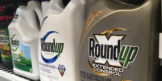 FILE - In this Feb. 24, 2019, file photo, containers of Roundup are displayed on a store shelf in San Francisco. (AP Photo/Haven Daley, File)