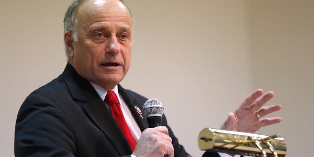 Rep. Steve King, R-Iowa, seen here this past January, defended his call for a ban on all abortions by questioning whether "there would be any population of the world left" if not for births due to rape and incest. (AP Photo/Charlie Neibergall, File)