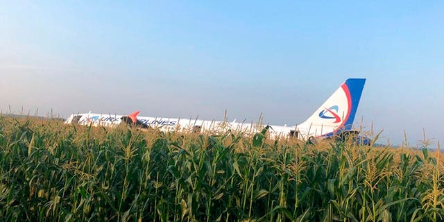 In this file image taken from a video distributed by Russian Investigative Committee, A Russian Ural Airlines' A321 plane is seen after an emergency landing in a cornfield near Ramenskoye, outside Moscow, Russia, Thursday, Aug. 15, 2019. 