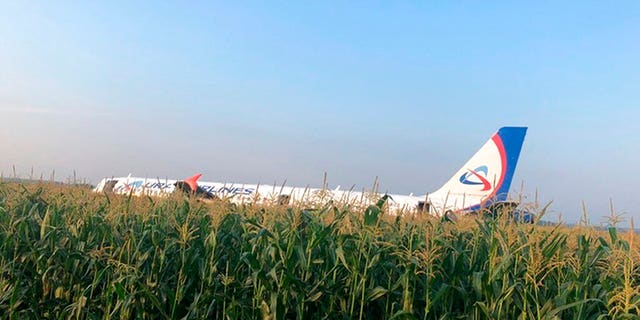 In this file image taken from a video distributed by Russian Investigative Committee, A Russian Ural Airlines' A321 plane is seen after an emergency landing in a cornfield near Ramenskoye, outside Moscow, Russia, Thursday, Aug. 15, 2019.