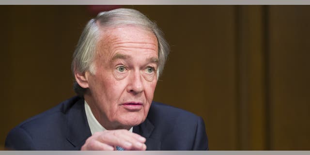 Some Massachusetts voters see Ed Markey as potentially vulnerable to a primary challenge, and one group is even trying to persuade U.S. Rep. Joe Kennedy to run for his seat.
