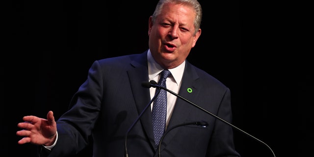 Al Gore has endorsed Joe Biden this week, saying he's the only candidate who can help save the environment. (Photo by Chris Hyde/Getty Images)