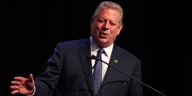 Al Gore has endorsed Joe Biden this week, saying he's the only candidate who can help save the environment. (Photo by Chris Hyde/Getty Images)