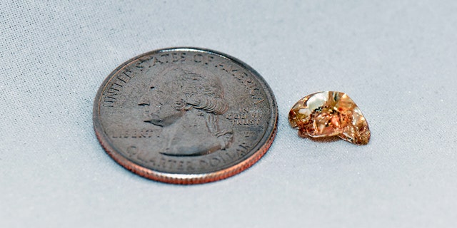 The diamond photographed next to a quarter