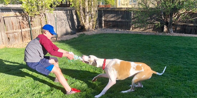 The author's son and their dog Shep