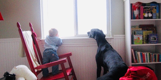 The author's son Riley and their dog Shadow