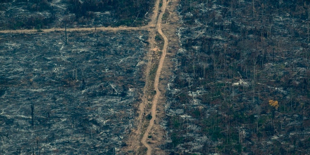 A scorched area of the Amazon rainforest is seen in Altamira, Para state, Brazil, Wednesday, Aug. 28, 2019.