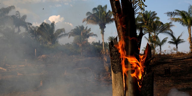 A tract of Amazon jungle is seen burning as it is being cleared by loggers and farmers in Iranduba, Amazonas state, Brazil August 20, 2019.