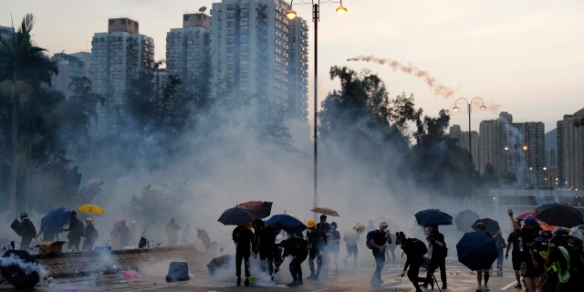 Droves of protesters filled public parks and squares in several Hong Kong districts on Monday in a general strike staged on a weekday to draw more attention to their demands that the semi-autonomous Chinese city's leader resign.