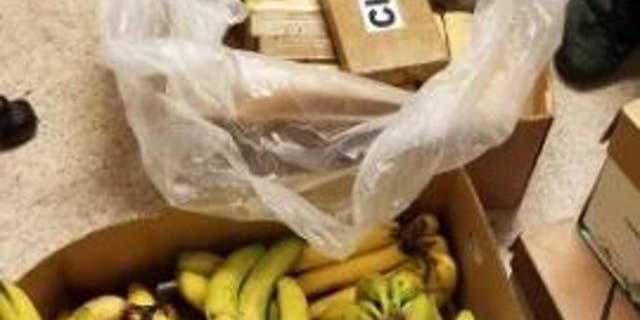 Employees at several Safeway stores in western Washington told authorities that they had found cocaine in banana shipments.