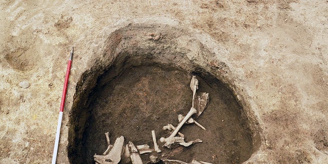 The burial pit where the skeletons were found