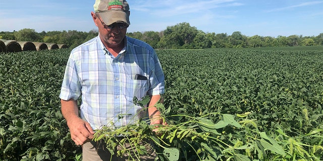 Farmer Randy Miller, having seen his soybeans at his farm in Lacona, Iowa. (AP Photo / Julie Pace)