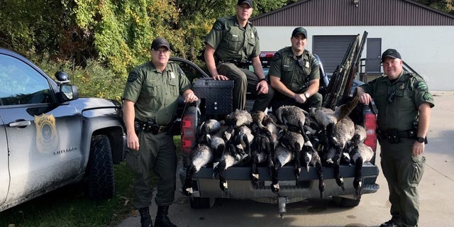 Officials apprehended the alleged poachers after watching them shoot 20 geese, place some of them in a pickup truck bed, and continue hunting.