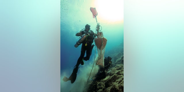 A diver brings an amphora up from one of the wreck sites.