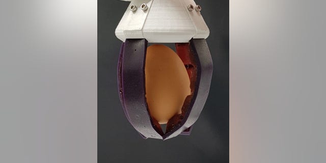 A gripper consisting of two different self-healing materials holding an egg.