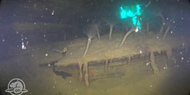 A storage compartment in Captain Crozier’s cabin on HMS Terror, partly covered by silt and sea anemones, with one of the cabin’s stern gallery windows clearly visible in the background. (Parks Canada, Underwater Archaeology Team)