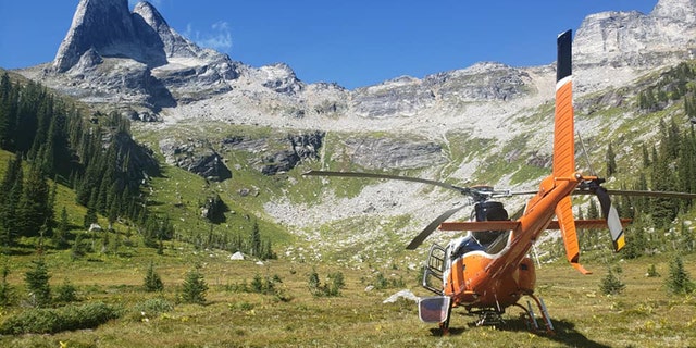 McAlpine was found dead after hiking alone on Mount Gimli in the Kootenay region of British Columbia, according to officials.