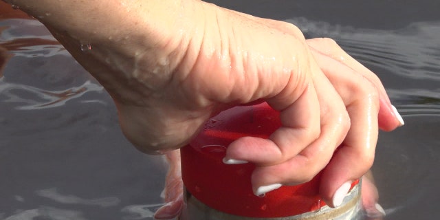 Muller drives an aluminum pipe down into the sediment underwater, and then suctions the top with red caps on the end until they split it open for research.