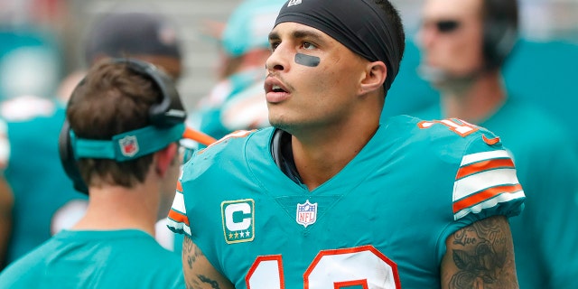 FILE - In this Dec. 9, 2018, file photo, Miami Dolphins wide receiver Kenny Stills (10) stands along the sideline during the first half of the team's NFL football game against the New England Patriots in Miami Gardens, Fla. Dolphins owner Stephen Ross is defending his support of longtime friend Donald Trump after being criticized about it by Stills. (AP Photo/Wilfredo Lee, File)