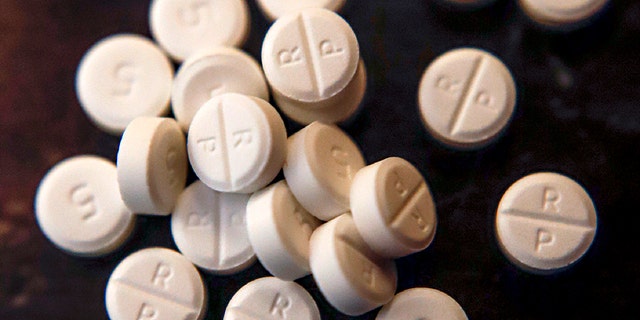This June 17, 2019, file photo shows 5-mg pills of Oxycodone. The first judgment is expected Monday, Aug. 26, in a lawsuit from a state government seeking to hold a drug company accountable for a U.S. opioid crisis that has ripped apart lives and communities. More trials and legal settlements are likely to follow the ruling in Oklahoma as the nation looks for answers and solutions to a massive societal and legal problem. (AP Photo/Keith Srakocic, File)