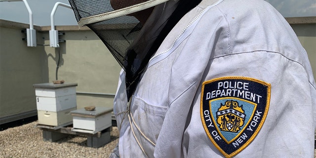 Officer Michael Lauriano, pictured here on the roof of the 104th NYPD Precinct in Queens, says he and Officer Darren Mays are similar to "bee whisperers."