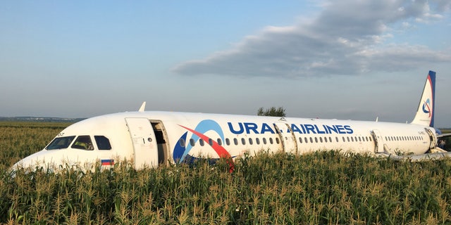 A view shows the Ural Airlines Airbus 321 passenger plane following an emergency landing in a field near Zhukovsky International Airport in Moscow Region, Russia August 15, 2019.
