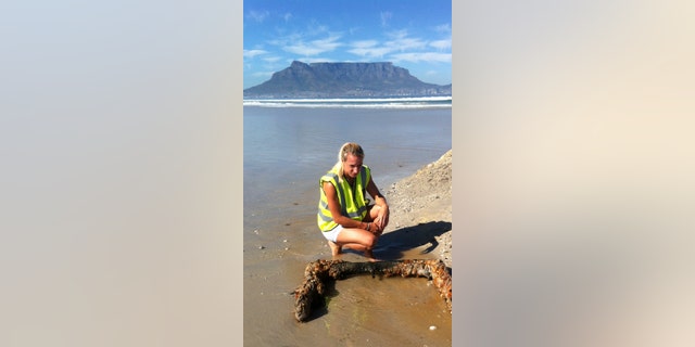 Briege Williams of the South African Heritage Resources Agency (SAHRA) inspecting an object found in the search for the 'Haarlem' wreck.