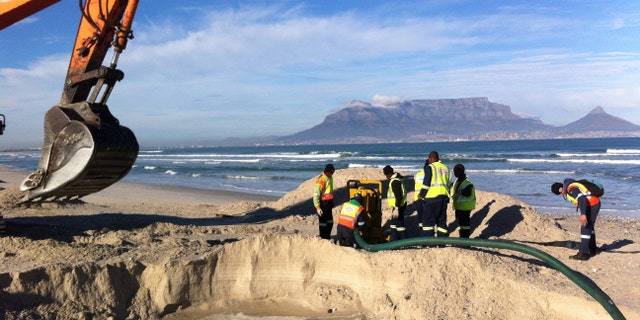 Test excavations in the search for the ‘Haarlem’, with Table Bay and Table Mountain in the background. (©AIMURE/Bruno Werz)