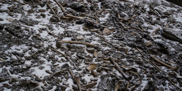 Skeletal remains scattered around the Roopkund Lake site.