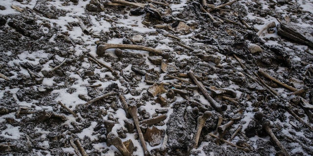 Skeletal remains scattered around the Roopkund Lake site.