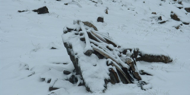 Snowy skeletons at the Roopkund Lake site. (Pramod Joglekar)