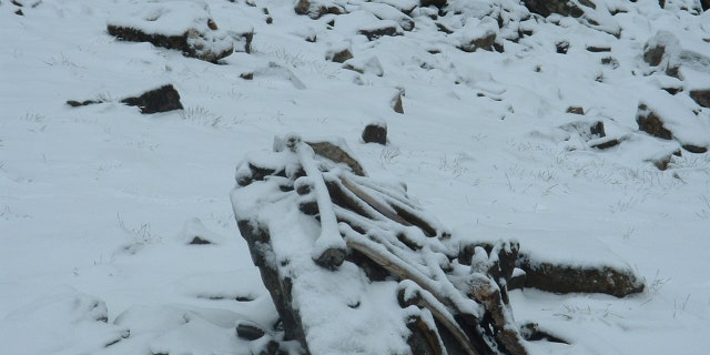 Snow-covered skeletal remains at the Roopkund Lake site. (Pramod Joglekar)