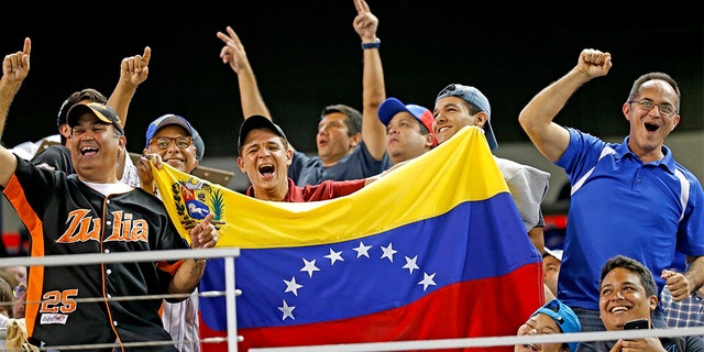 Baseball fans showing their support of Venezuelan players as the Miami Marlins hosted the Cleveland Indians at Marlins Park in Miami this past April. (Al Diaz/Miami Herald/TNS via Getty Images, File)