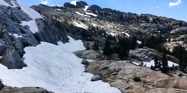 A phenomenon known as "watermelon snow" was spotted last week at a high elevation near a lake at Yosemite National Park.