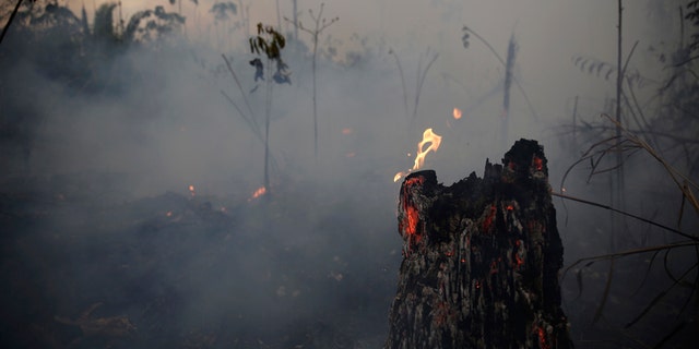 Satellite Imagery Of Amazon Rainforest Fire Shows Massive Carbon Monoxide Pollution Plume Fox News